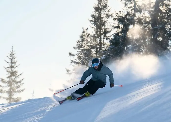 Laax, Parking, Ski, Room, Self Check-in Wi-fi Caumasee