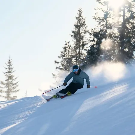 Laax, Parking, Ski, Room, Self Check-in Wi-fi Caumasee